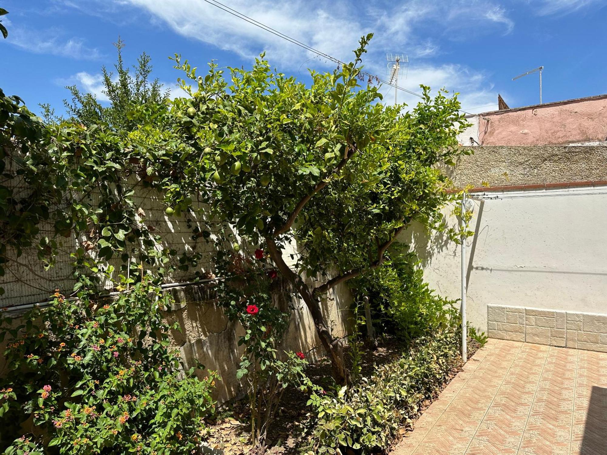 Villa San Leo San Leone Exterior photo